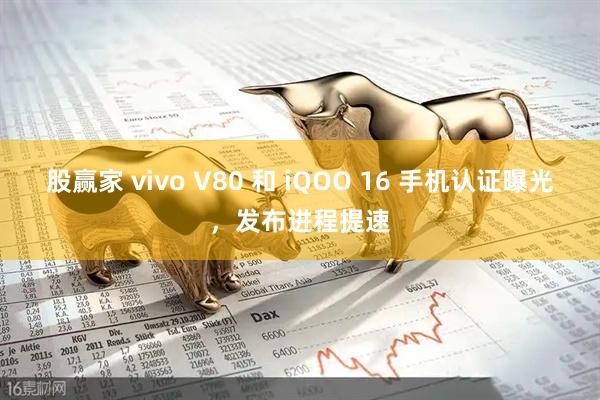 股赢家 vivo V80 和 iQOO 16 手机认证曝光,发布进程提速