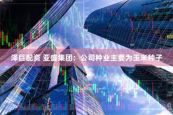 泽巨配资 亚盛集团：公司种业主要为玉米种子